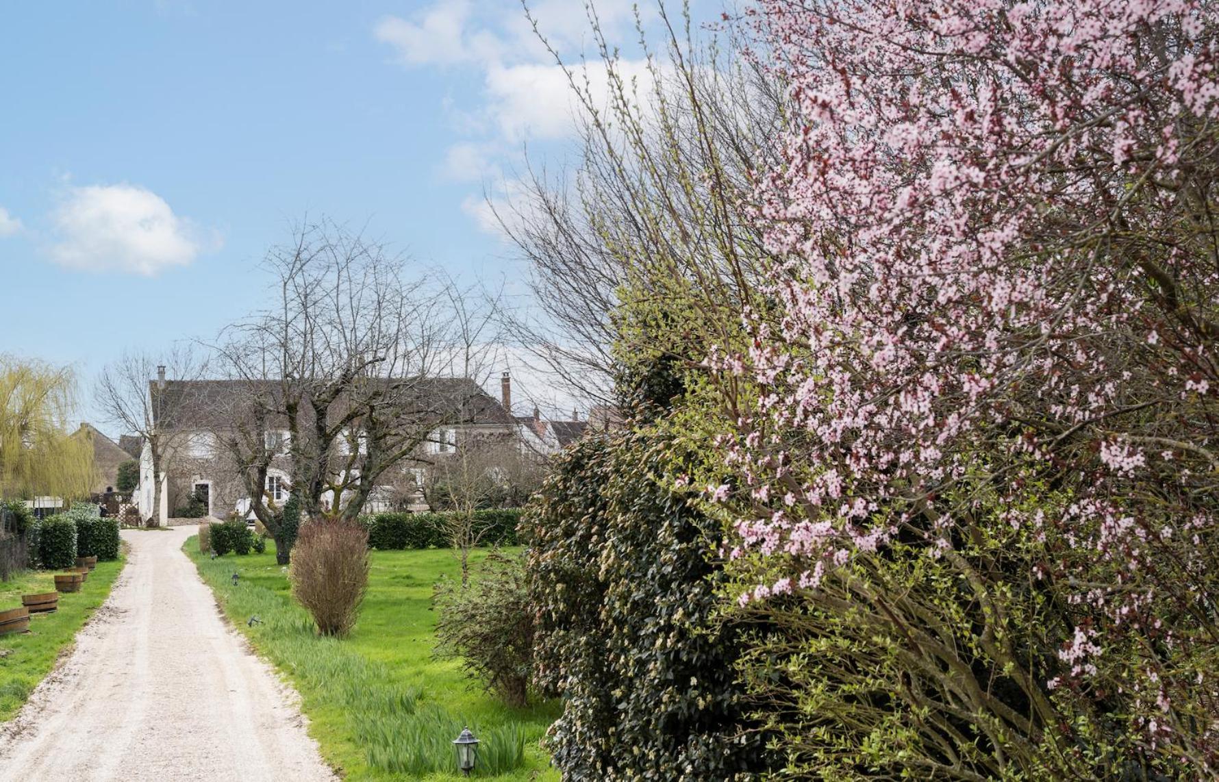 Chambre d'Hôtes Le Val Du Chapelain Acomodação com café da manhã Montigny-la-Resle Exterior foto